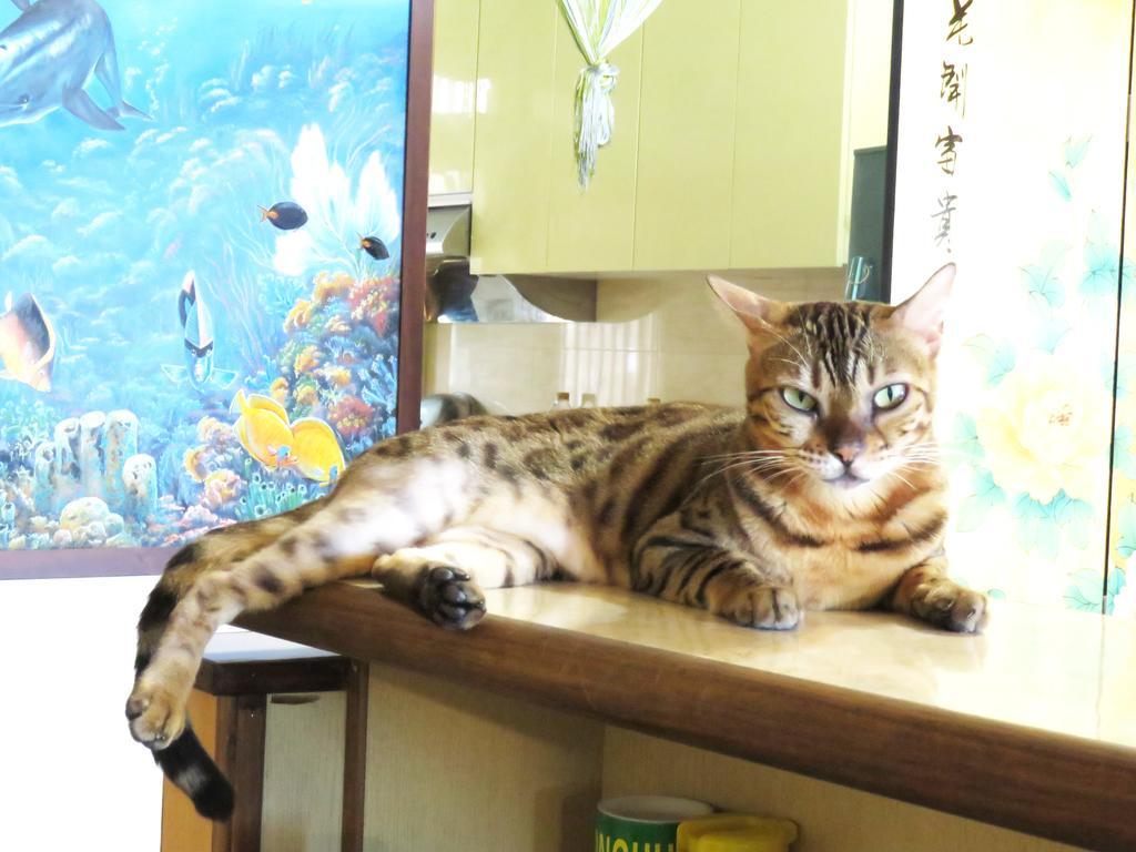 Tou Cheng Whale Watching Homestay Toucheng Extérieur photo